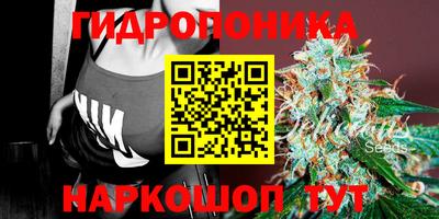 ПСИЛОЦИБИНОВЫЕ ГРИБЫ Аргун