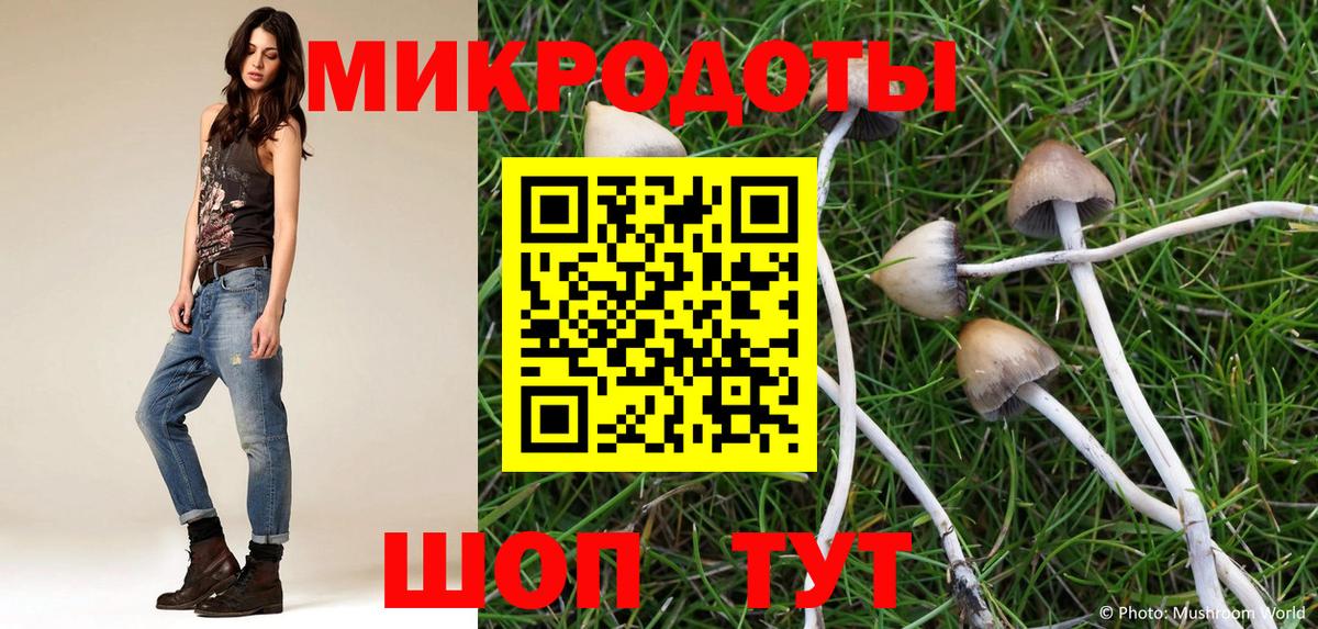 Галлюциногенные грибы мицелий Белово